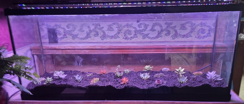 This is an image from a gallery of photos and art. Sorry.